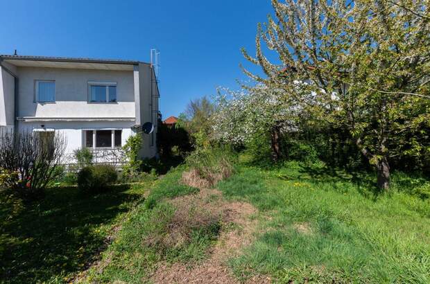 Haus kaufen in 3352 St. Peter (Bild 3)