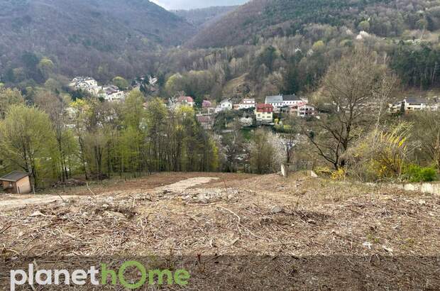 Grundstück kaufen in 2391 Kaltenleutgeben (Bild 5)