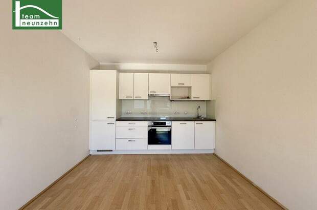 Terrassenwohnung mieten in 1060 Wien (Bild 3)
