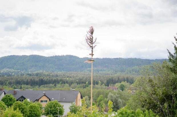 Wohnung mit Balkon mieten in 9535 Schiefling (Bild 5)