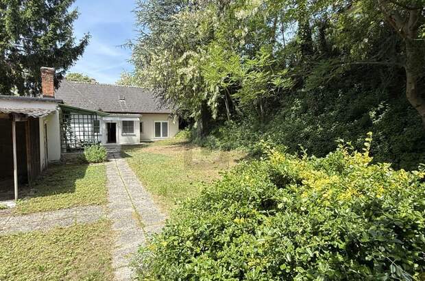 Einfamilienhaus kaufen in 7452 Unterpullendorf (Bild 1)