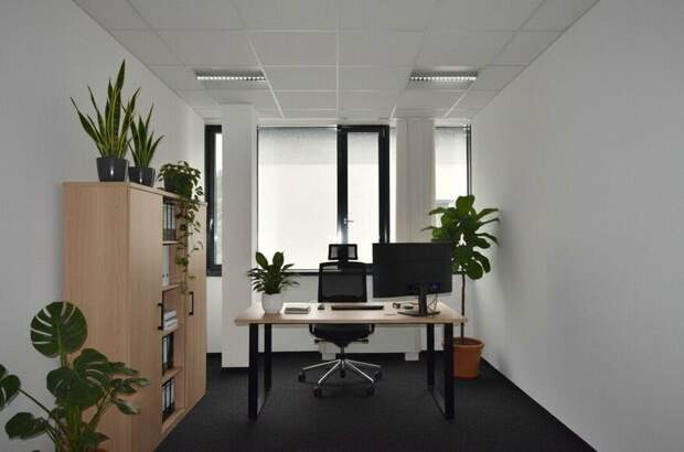 Gewerbeobjekt mieten in 4020 Linz (Bild 3)