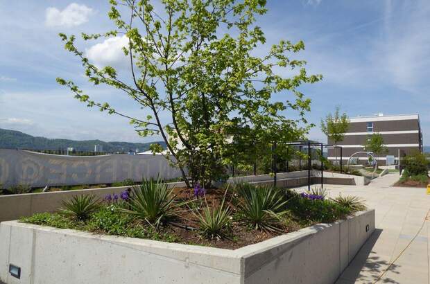 Wohnung mieten in 8055 Graz (Bild 5)