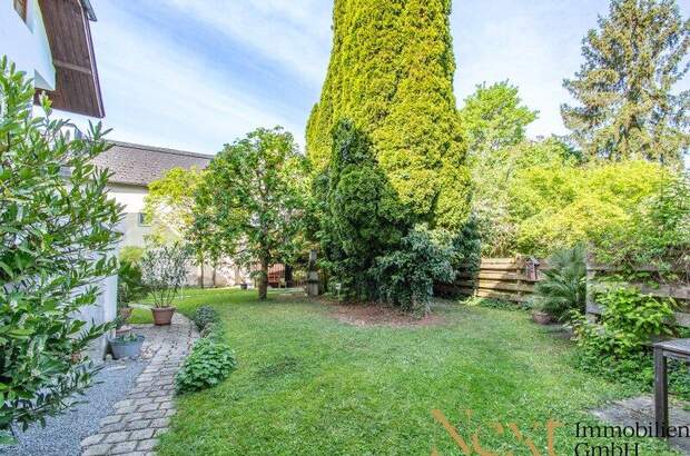 Haus mieten in 4600 Wels (Bild 4)
