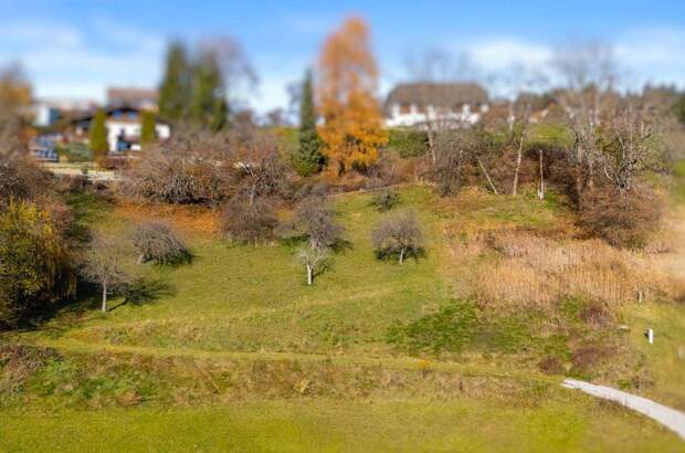 Grundstück kaufen in 9560 Feldkirchen