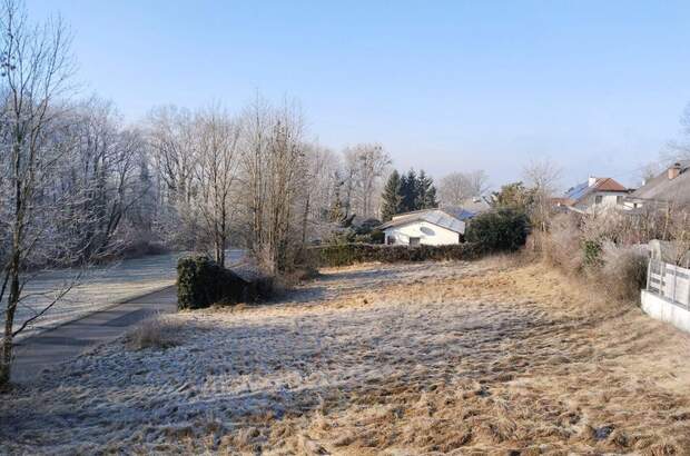 Grundstück kaufen in 4073 Wilhering (Bild 4)