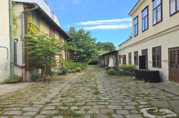 Anlageobjekt kaufen in 1190 Wien (Bild 1)