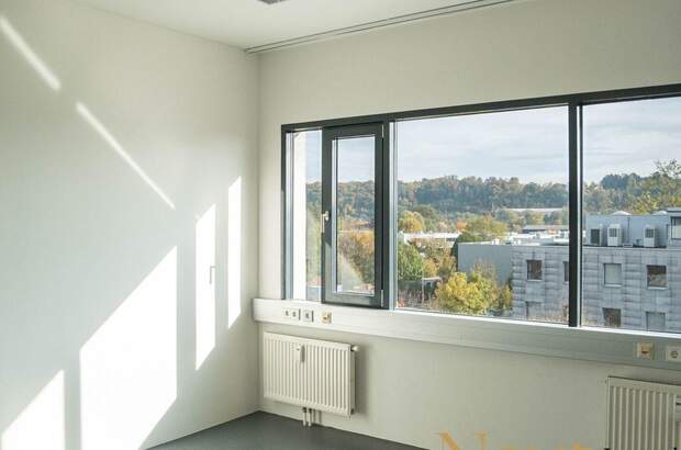Gewerbeobjekt mieten in 4600 Wels (Bild 3)