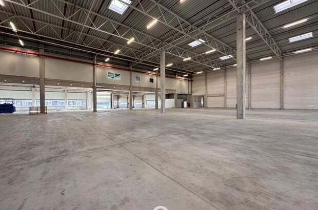 Gewerbeobjekt mieten in 4470 Enns (Bild 4)