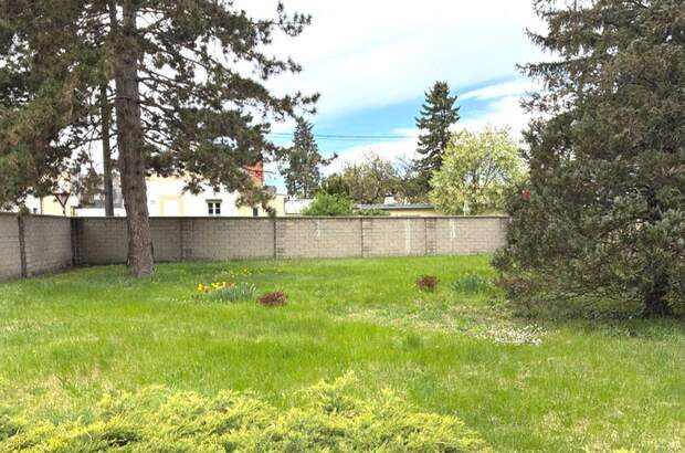Haus mit Garten kaufen in 2700 Wiener Neustadt (Bild 3)