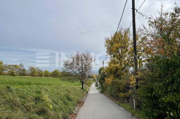 Grundstück kaufen in 2103 Langenzersdorf (Bild 3)