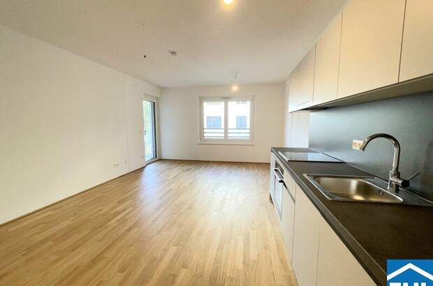 Terrassenwohnung mieten in 1210 Wien (Bild 1)