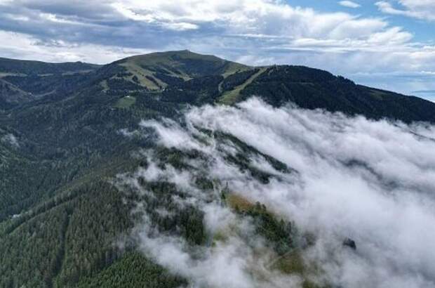 Grundstück kaufen in 9431 Kleinedling (Bild 3)