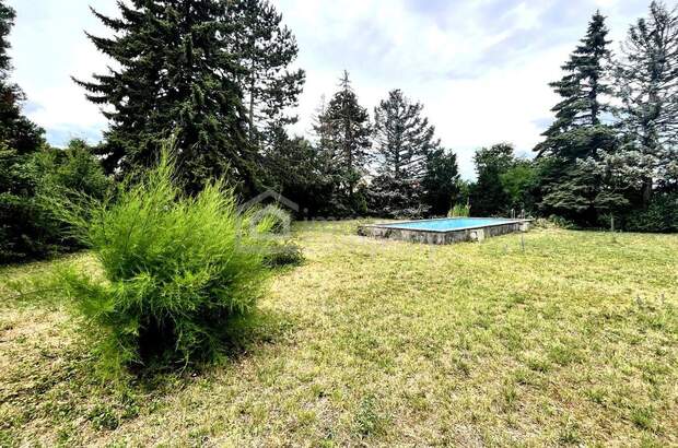 Grundstück kaufen in 2601 Eggendorf (Bild 2)