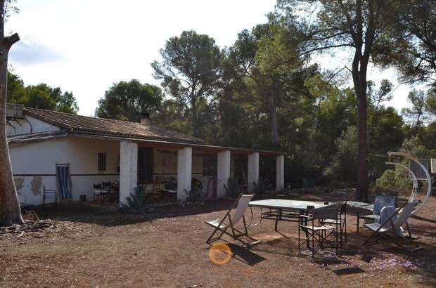 Immobilie kaufen in 7620 Llucmajor (Bild 3)