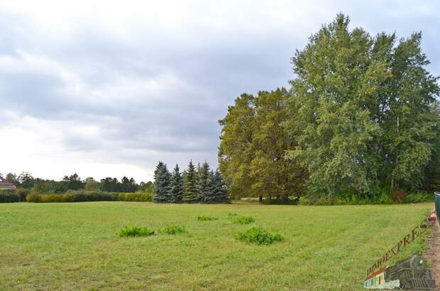 Grundstück kaufen in 2333 Leopoldsdorf