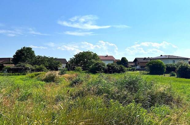 Grundstück kaufen in 8403 Bachsdorf (Bild 2)