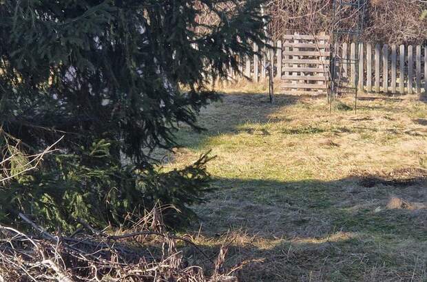 Grundstück kaufen in 2822 Föhrenau (Bild 4)