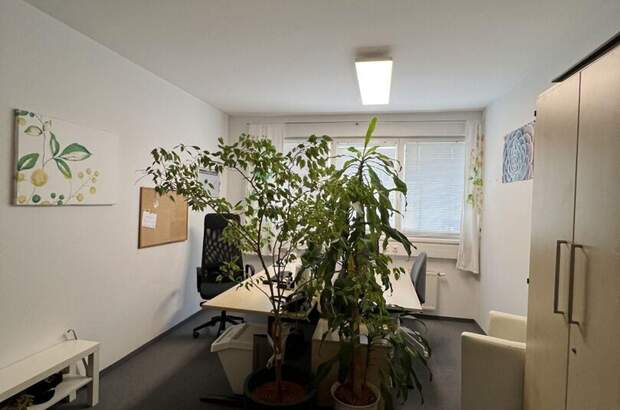 Gewerbeobjekt mieten in 8020 Graz (Bild 1)