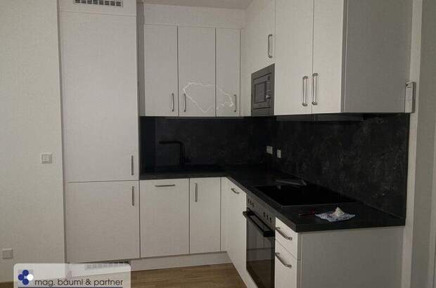 Terrassenwohnung mieten in 1230 Wien (Bild 4)