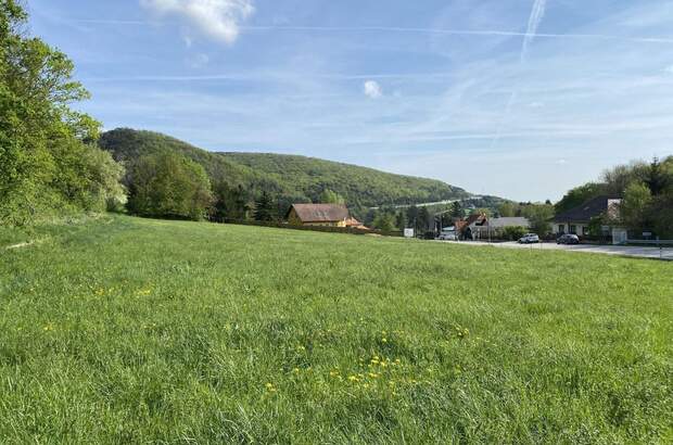Grundstück kaufen in 2371 Weissenbach (Bild 1)