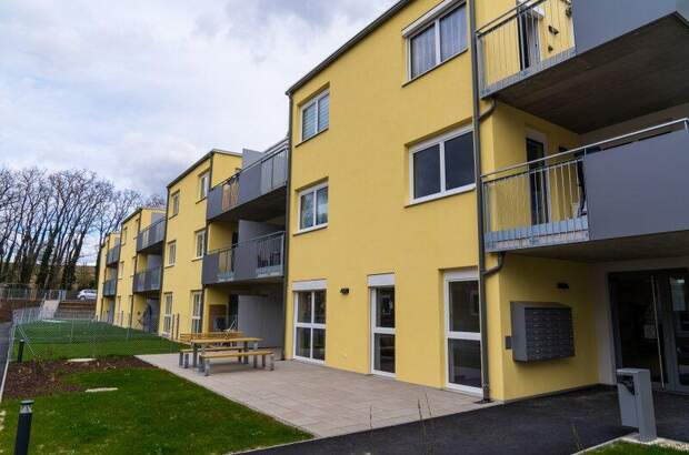 Terrassenwohnung mieten in 2104 Spillern (Bild 5)