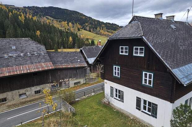 Gewerbeobjekt kaufen in 9543 Arriach (Bild 4)