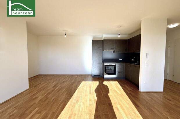 Terrassenwohnung mieten in 1100 Wien (Bild 3)