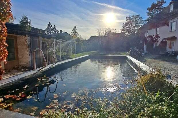 Haus mit Garten kaufen in 2512 Tribuswinkel (Bild 3)