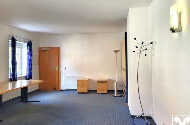 Gewerbeobjekt mieten in 4470 Enns (Bild 4)