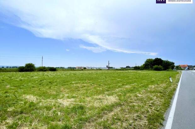 Grundstück kaufen in 2441 Mitterndorf (Bild 2)