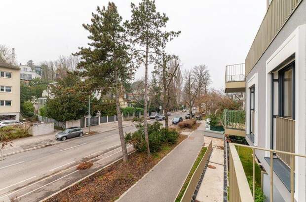 Terrassenwohnung mieten in 1190 Wien (Bild 4)