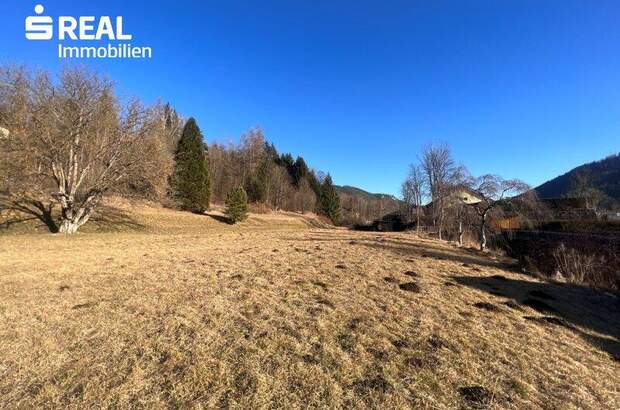 Grundstück kaufen in 8793 Trofaiach (Bild 5)