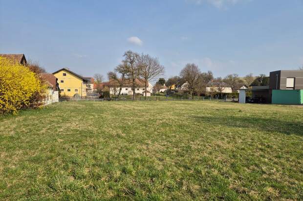 Grundstück kaufen in 3062 Kirchstetten (Bild 2)