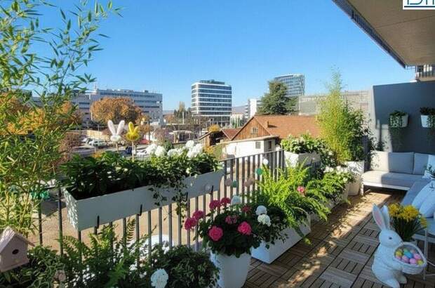 Wohnung mieten in 8010 Graz (Bild 1)