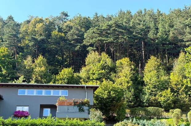 Terrassenwohnung kaufen in 6161 Natters (Bild 1)