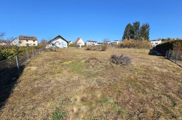 Grundstück kaufen in 8501 Spatenhof (Bild 5)