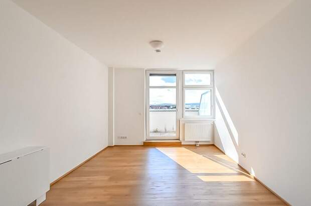 Gewerbeobjekt mieten in 1230 Wien (Bild 2)