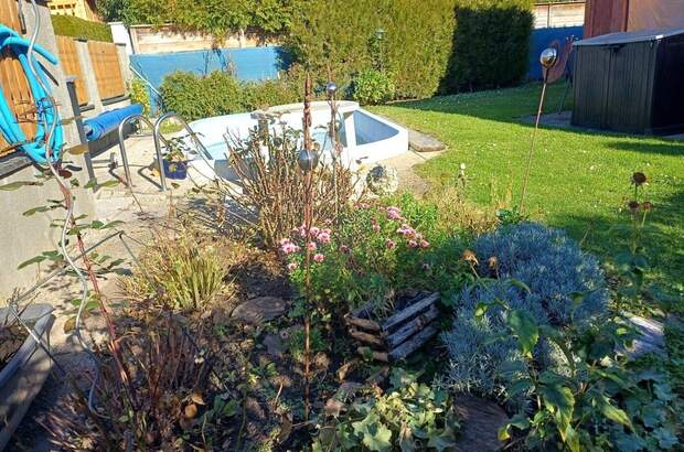 Haus kaufen in 2011 Sierndorf (Bild 5)