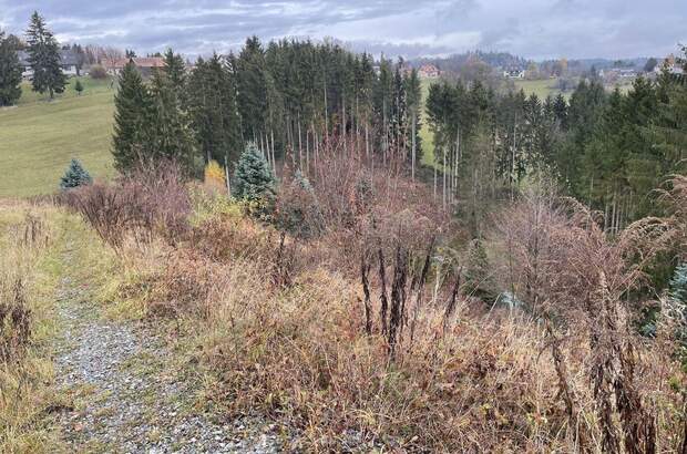 Grundstück kaufen in 8302 Nestelbach (Bild 5)