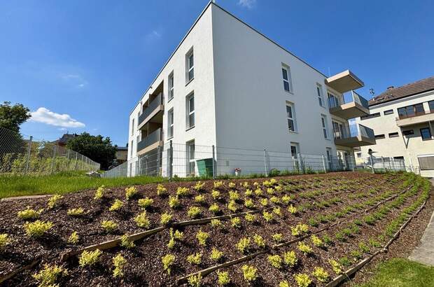 Wohnung mieten in 4713 Gallspach (Bild 1)