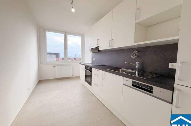 Terrassenwohnung mieten in 1030 Wien (Bild 2)