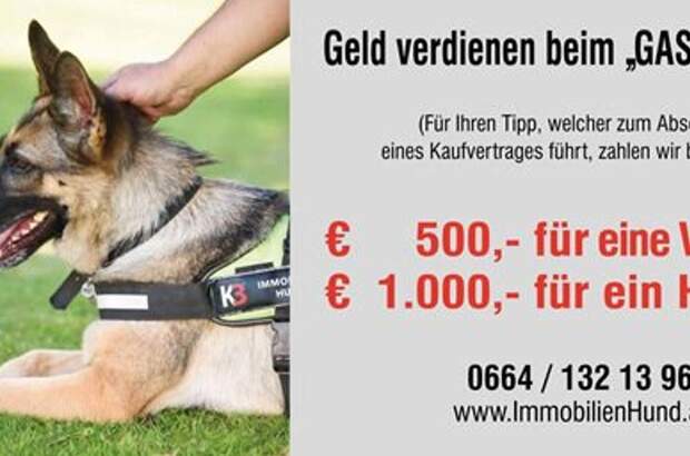 Haus mit Garten kaufen in 5020 Salzburg (Bild 2)