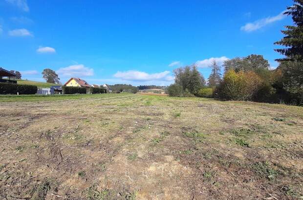 Grundstück kaufen in 8412 Allerheiligen (Bild 3)