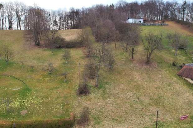 Grundstück kaufen in 8380 Grieselstein (Bild 4)