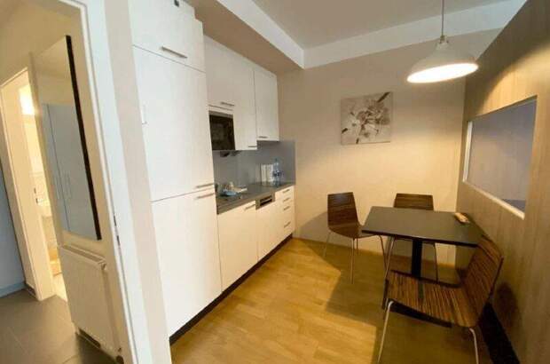 Terrassenwohnung mieten in 1190 Wien (Bild 5)