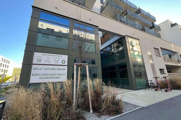 Gewerbeobjekt mieten in 1220 Wien (Bild 1)