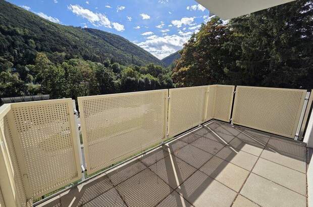 Terrassenwohnung mieten in 2754 Waldegg (Bild 4)