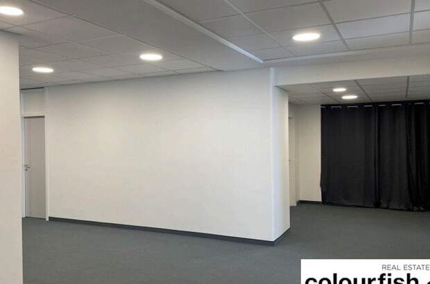 Gewerbeobjekt mieten in 1050 Wien (Bild 1)