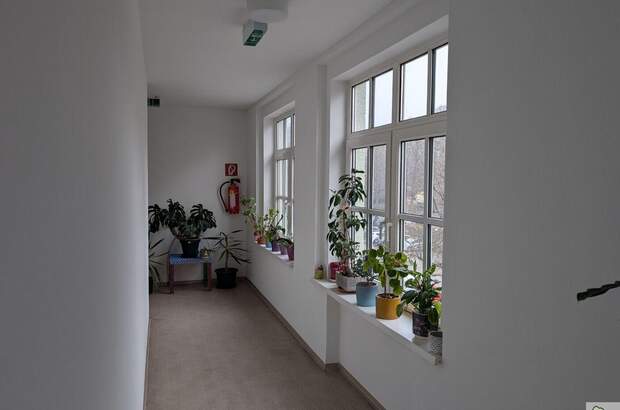 Wohnung kaufen in 4820 Bad Ischl (Bild 4)